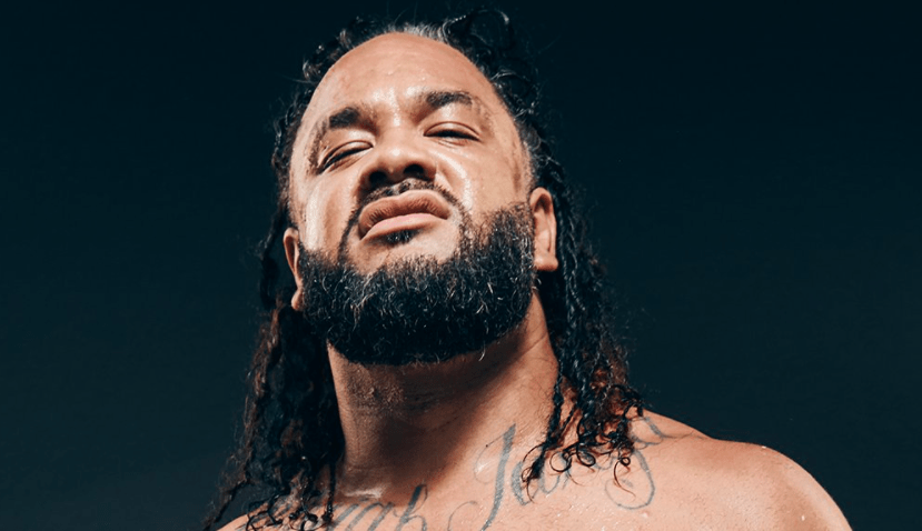 WrestleMania XL: Meet Legends and New WWE Stars!